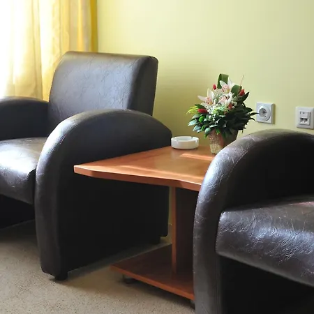 Medijana Guest house Nis